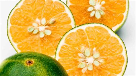 Frutti ibridi diversi