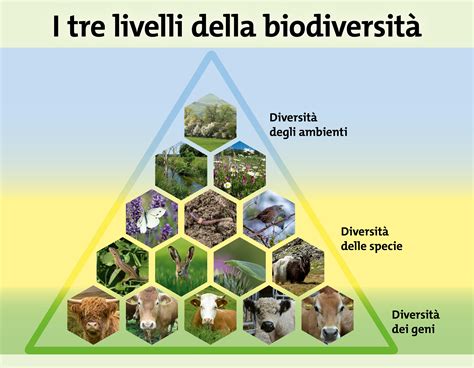 Infografica sulla biodiversità alimentare