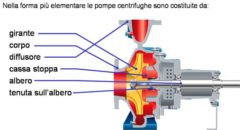 Schema di una pompa acqua con girante in ghisa