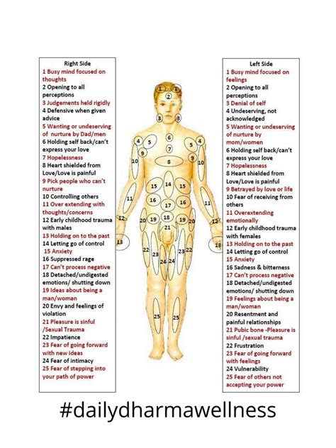 Diagramma body mapping Salewa