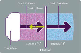 Schema di funzionamento di un iniettore piezoelettrico