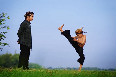 Stili di combattimento del Kung Fu imitativi