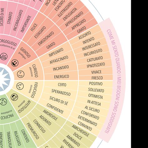 Ruota completa con indicazione dei componenti
