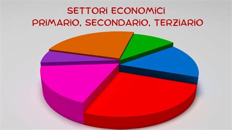 Torta a settori che mostra la percentuale di preferenza dei colori auto (nero, bianco, blu, altri)
