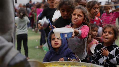 Veicoli in fila per l'immatricolazione