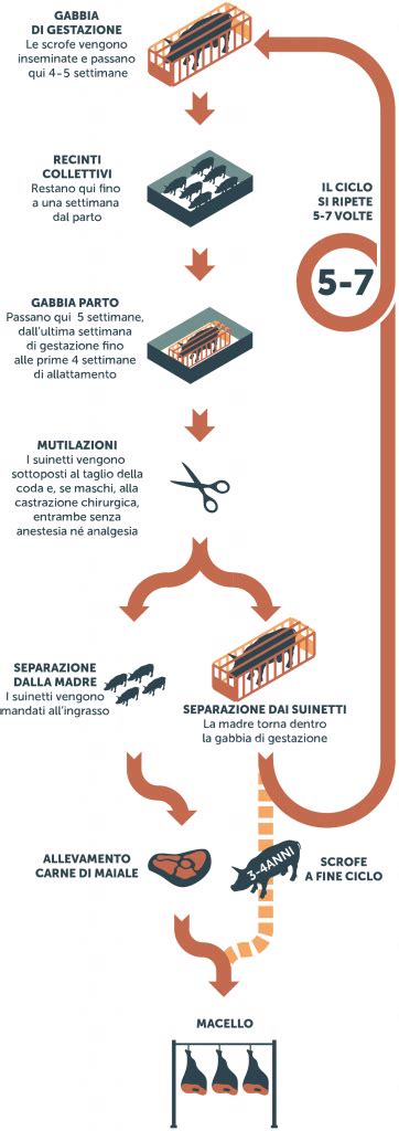 Infografica che illustra il processo di rigenerazione di una batteria ibrida