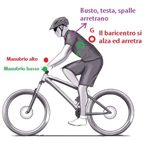 diagramma baricentro ciclista manubrio alto e basso