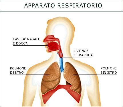 Illustrazione che mostra il percorso dell'aria da un tubo di aspirazione danneggiato direttamente nel motore