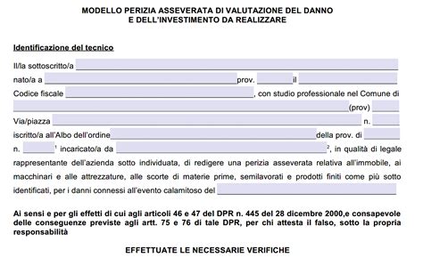 Schema di valutazione danni veicolo sinistrato