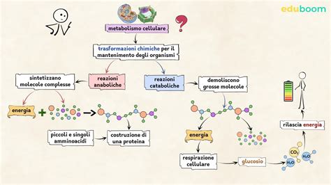 Grafico che illustra il flusso di energia tra batteria principale, Range Extender e motore