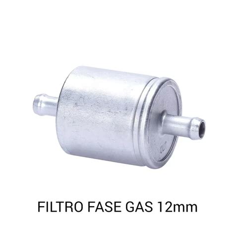 Filtro del gas fase gassosa