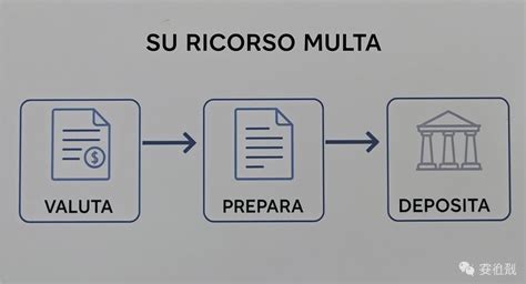 Infografica che illustra i passaggi per contestare una multa con errore sul modello dell'auto