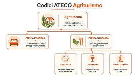 Diagramma che illustra i codici ATECO relativi al settore automotive