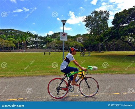 Ciclista su una bici ibrida in un parco cittadino