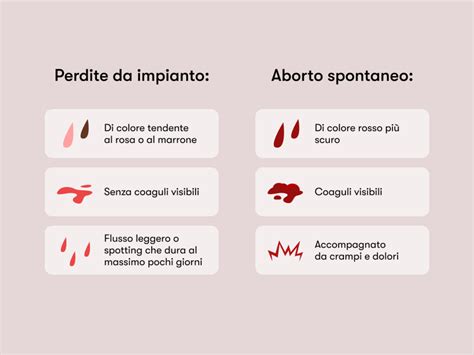 Schema di aborto spontaneo