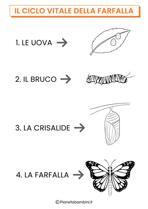 Componenti della farfalla motorizzata V157