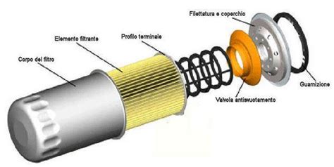 Schema di un filtro olio motore con evidenziate guarnizione e filettatura