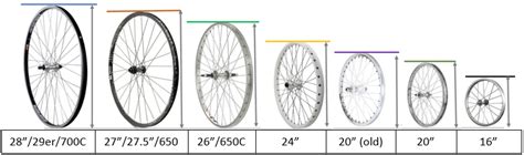 Confronto dimensioni cerchi bici