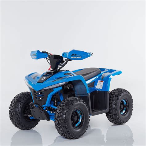 Immagine di un quad