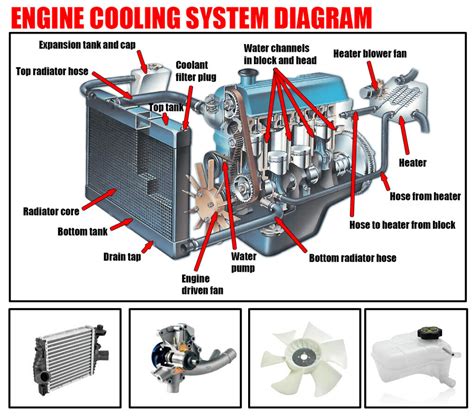 Engine cooling system diagram