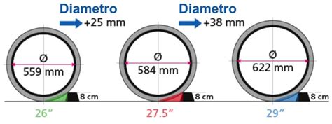 Grafico comparativo delle dimensioni dei cerchi per bicicletta