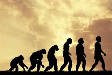 Logo storico Nissan e timeline della sua evoluzione