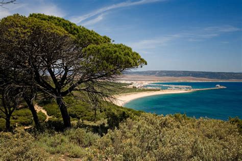 Sentiero escursionistico nel Parque Natural La Breña y Marismas del Barbate