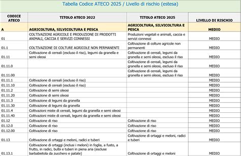 Tabella comparativa di codici OE e alternativi per pastiglie freno