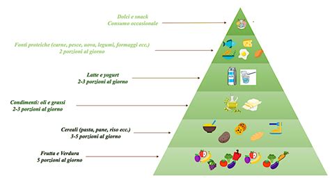 Diagramma della piramide alimentare del panda gigante