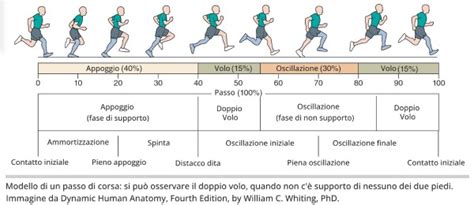 Grafico che illustra la corsa del pedale della frizione e l'usura