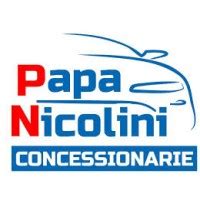 Concessionarie Papa Nicolini logo
