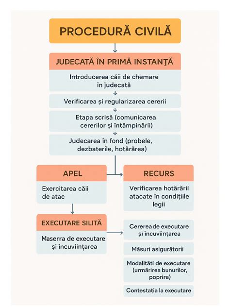 Schema Procedura Risarcimento Ordinaria