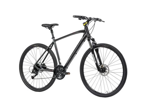 Bicicletta ibrida in azione su un percorso misto