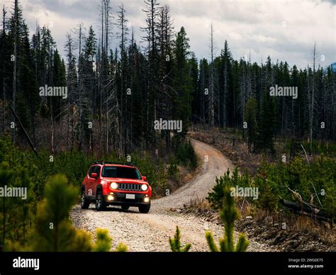 Automobile 4x4 su strada sterrata