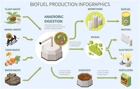 Tipi di biocarburanti e loro fonti