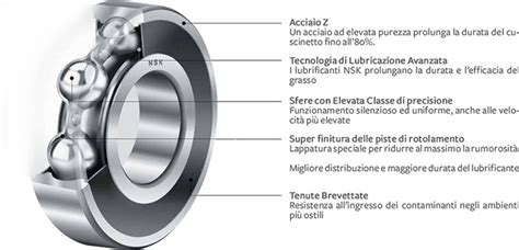 Particolare di sfere libere e sfere ingabbiate