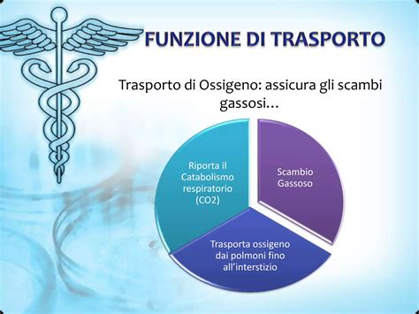Struttura dell'IVASS e le sue funzioni