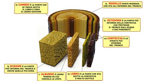 Struttura del VIN e significato delle sue sezioni