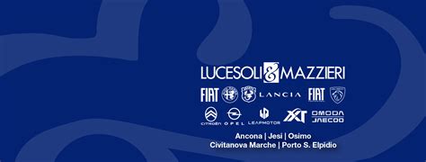 Mappa delle sedi operative di Lucesoli & Mazzieri S.P.A. nelle Marche