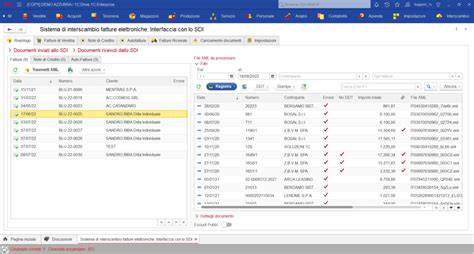 Interfaccia utente di un software per la ricerca di ricambi