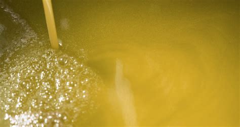 Particolare di morchia e limature metalliche raccolte dall'olio del cambio