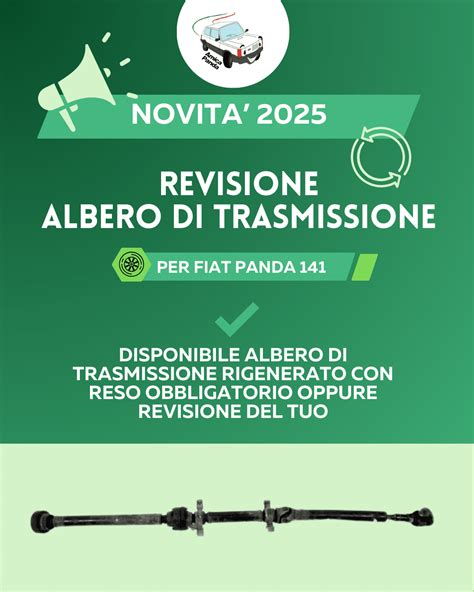 processo di revisione albero motore