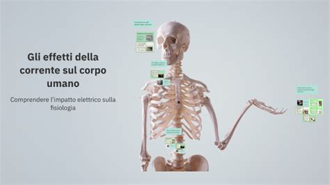 effetti apertura airbag sul corpo umano