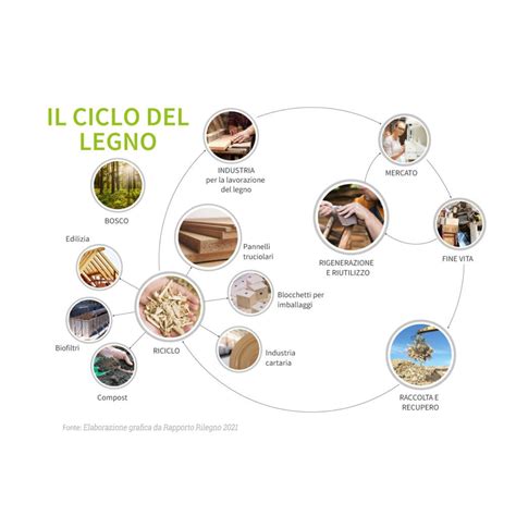 Ciclo di vita degli imballaggi in legno