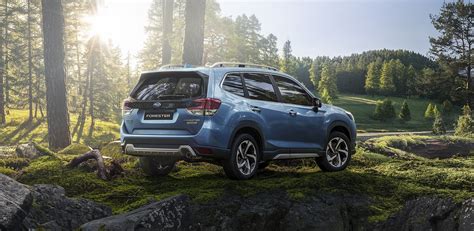 La Subaru Forester impegnata in un test di guida off-road su un percorso accidentato