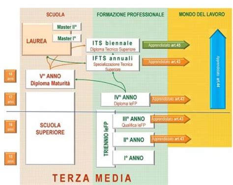 Schema del sistema di filiera: dall'università ai centri R&D