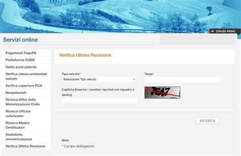 Schermata di un portale online per la verifica dell'assicurazione auto