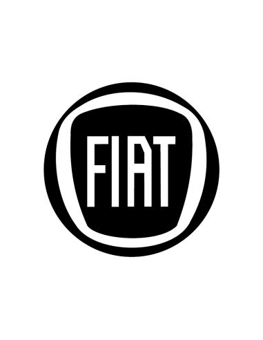 Adesivo logo Fiat prespaziato su carrozzeria auto