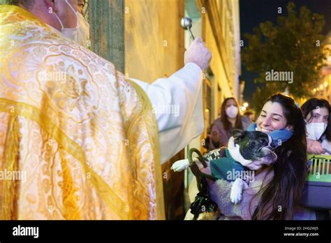 Sacerdote che benedice un vigneto durante la vendemmia