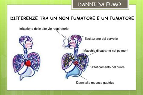 Danni causati dal fumo in un incendio